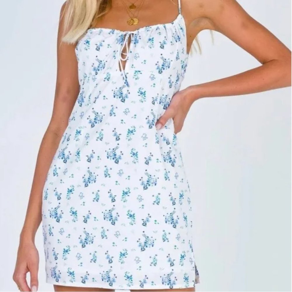 Princess Polly Jayde Mini Dress Floral Blue White (Size 6)